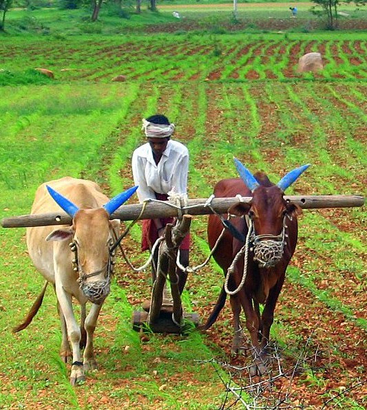 bg_img_home_block52_cu